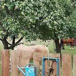 Zagroda Zalipie Alojamento de Turismo Rural *