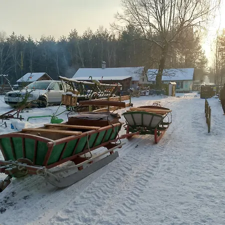 Vakantieboerderij Zagroda Zalipie Gostynin