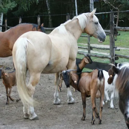 Κατάλυμα σε φάρμα Zagroda Zalipie *