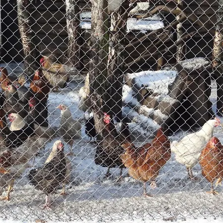 Zagroda Zalipie Farma