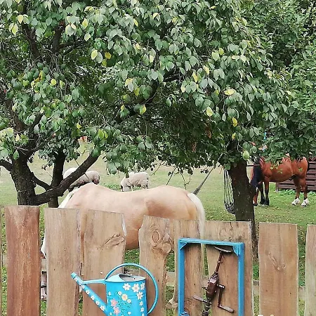 Zagroda Zalipie Vakantieboerderij *