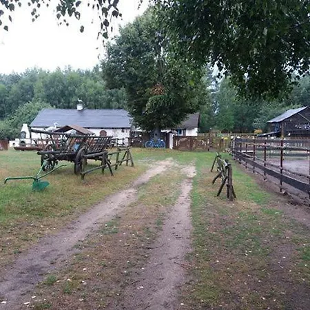 Zagroda Zalipie * Gostynin